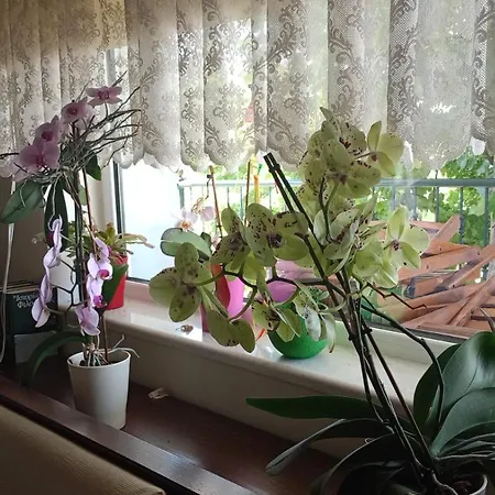 Deluxe Family In The City Center Apartman *