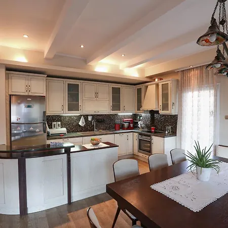Deluxe Family In The City Center Apartman Néa Mihanióna